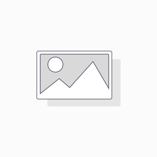 SmallHD Monitor
